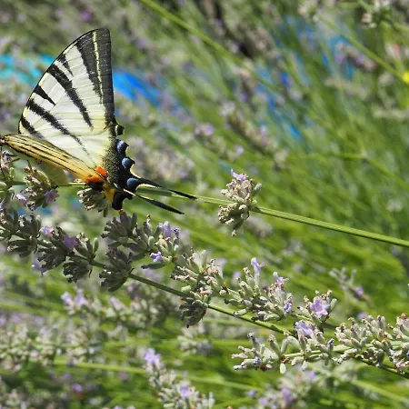 Kuca Za Odmor U Kastelima S Pogledom Na Kastela